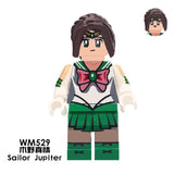 WM529