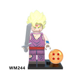 WM244