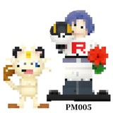 PM005