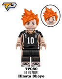 TP080