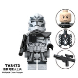 TV8173