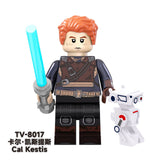 TV8017