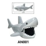 AN001