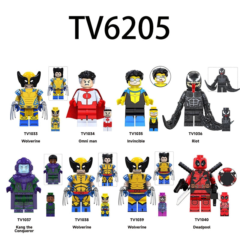 TV6205